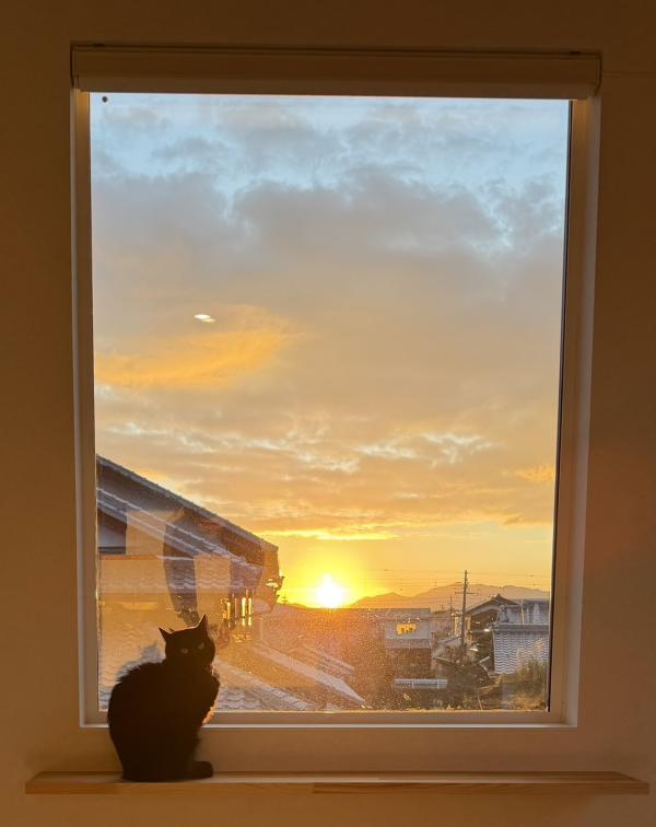 日の出ネコ